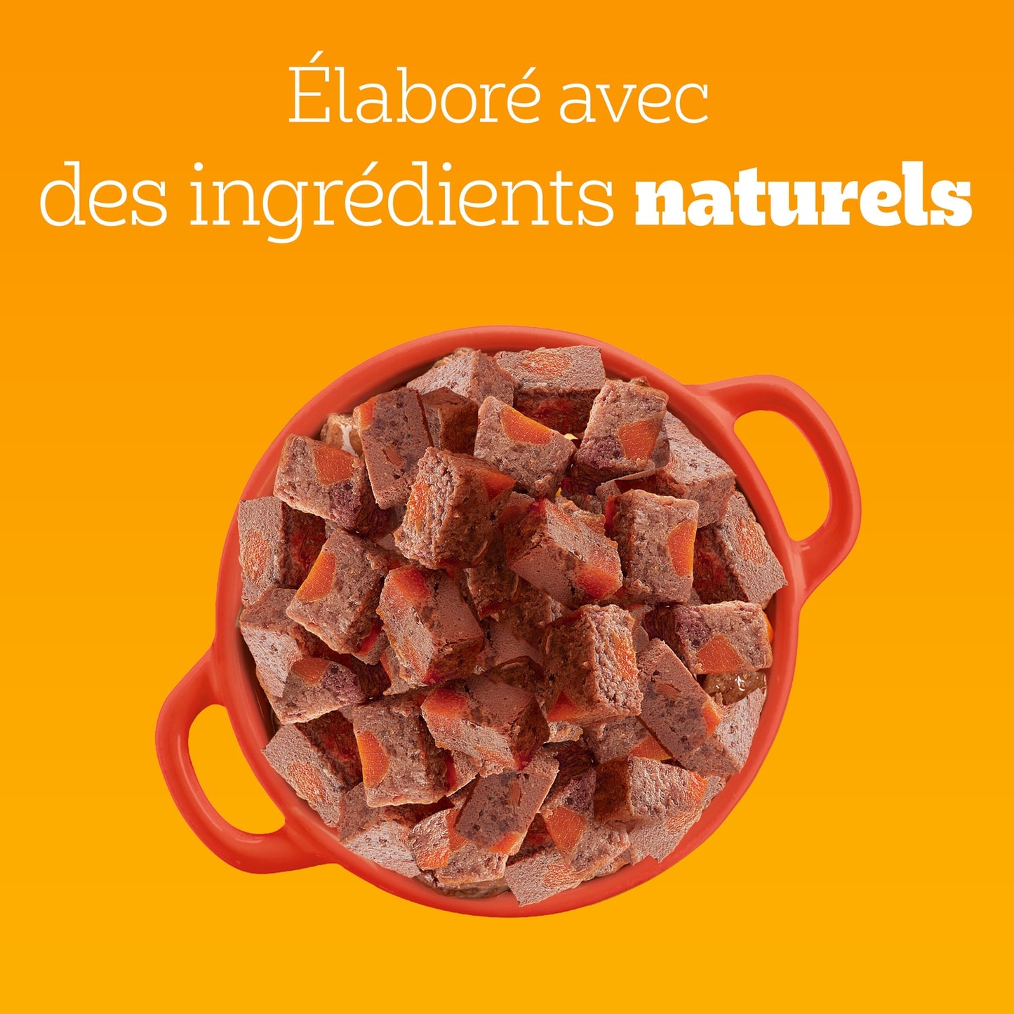 Pâtée pour Chien Adulte Terrine Boeuf Carottes PEDIGREE