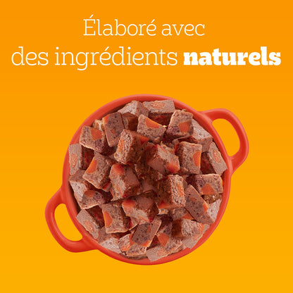 Pâtée pour Chien Adulte Terrine Boeuf Carottes PEDIGREE