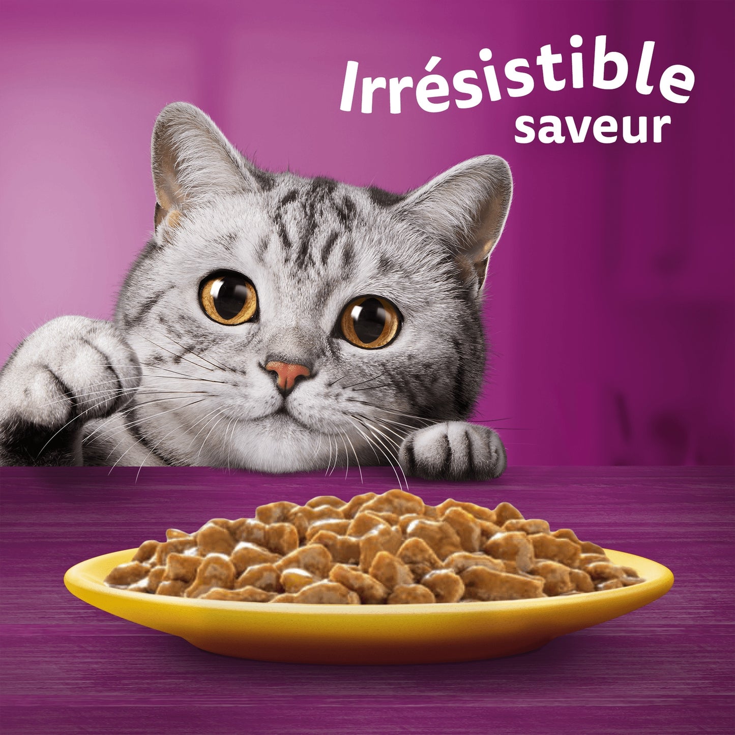 Pâtée pour Chat Adulte en Sauce Volaille Poulet Canard Dinde WHISKAS