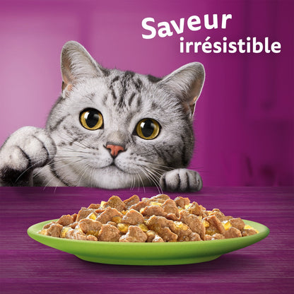 Croquettes pour Chat en Gelée 4 Variétés WHISKAS