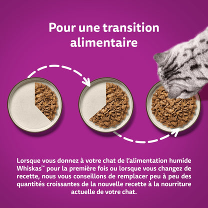 Croquettes pour Chat en Gelée 4 Variétés WHISKAS