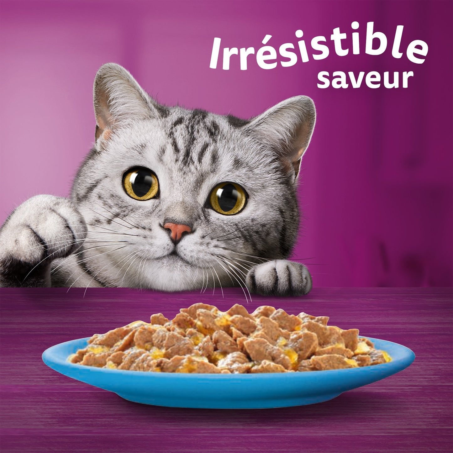 Pâtée pour Chat Adulte en Gelée Saumon Thon Cabillaud Poisson Blanc WHISKAS