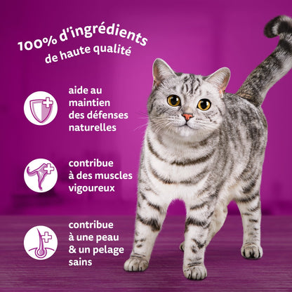Pâtée pour Chat Adulte en Gelée Saumon Thon Cabillaud Poisson Blanc WHISKAS