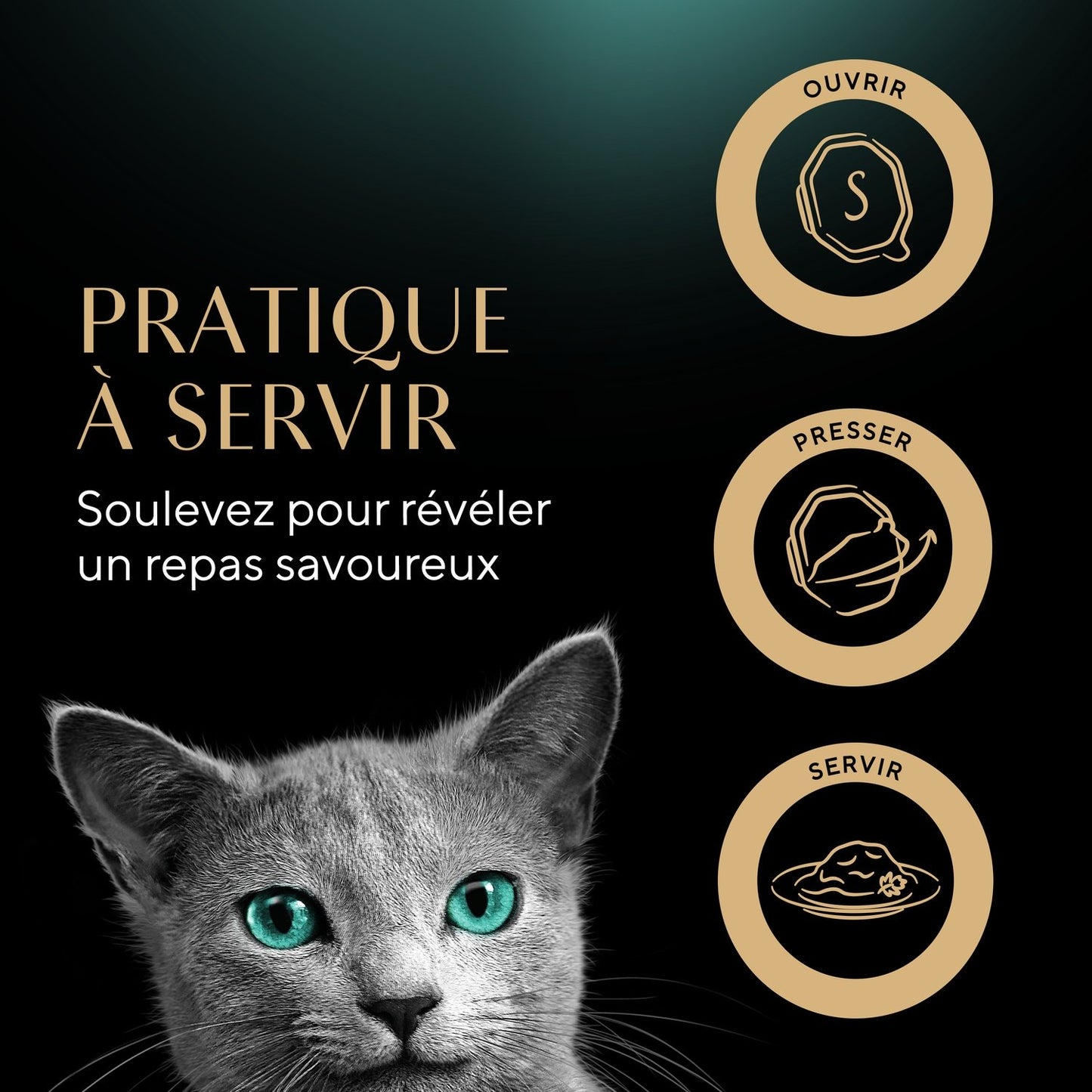 Pâtée pour Chat Adulte en Sauce Lapin Légumes Truite Herbes Poulet Dinde SHEBA