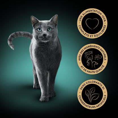 Croquette pour Chat Adulte Sélection Mixte 4 Variétés SHEBA