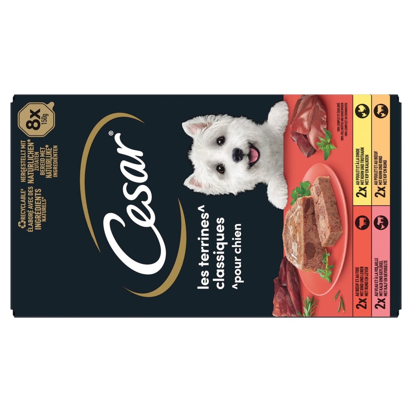 Terrine Classique pour Chien Adulte 4 Variétés CESAR