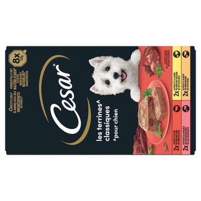 Terrine Classique pour Chien Adulte 4 Variétés CESAR