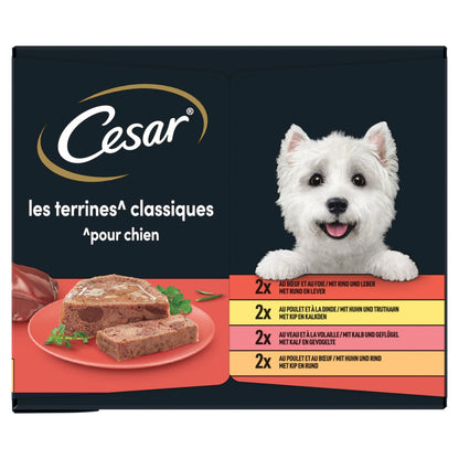 Terrine Classique pour Chien Adulte 4 Variétés CESAR