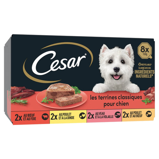 Terrine Classique pour Chien Adulte 4 Variétés CESAR la boite de 1,2Kg