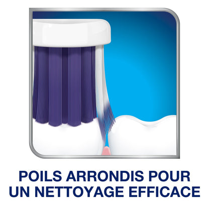 Brosse à Dents Souple Dents Sensibles Soin et Précision SENSODYNE