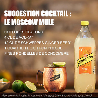 Boisson Gazeuse Ginger Beer Saveur Gingembre SCHWEPPES 