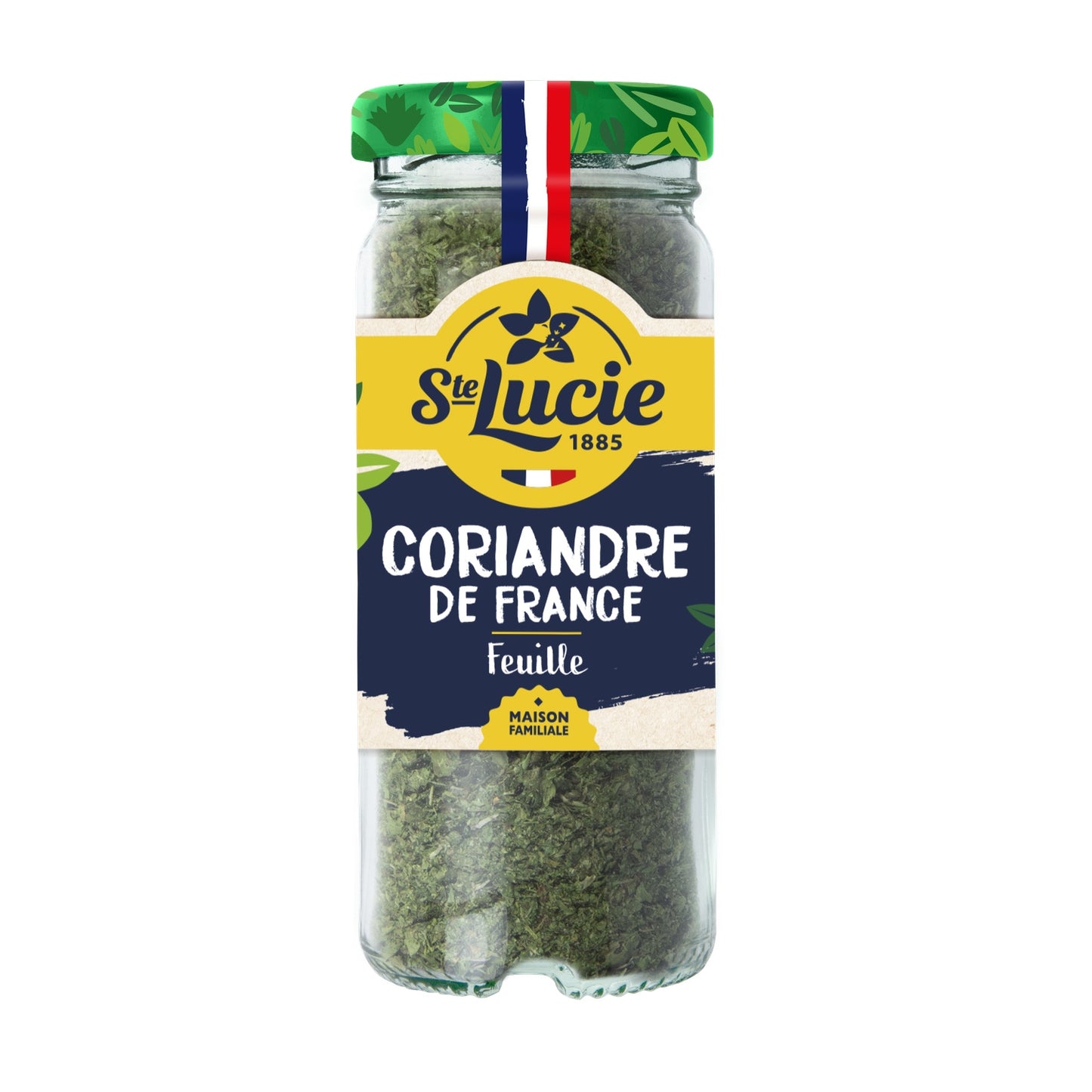 Coriandre de France SAINTE LUCIE 