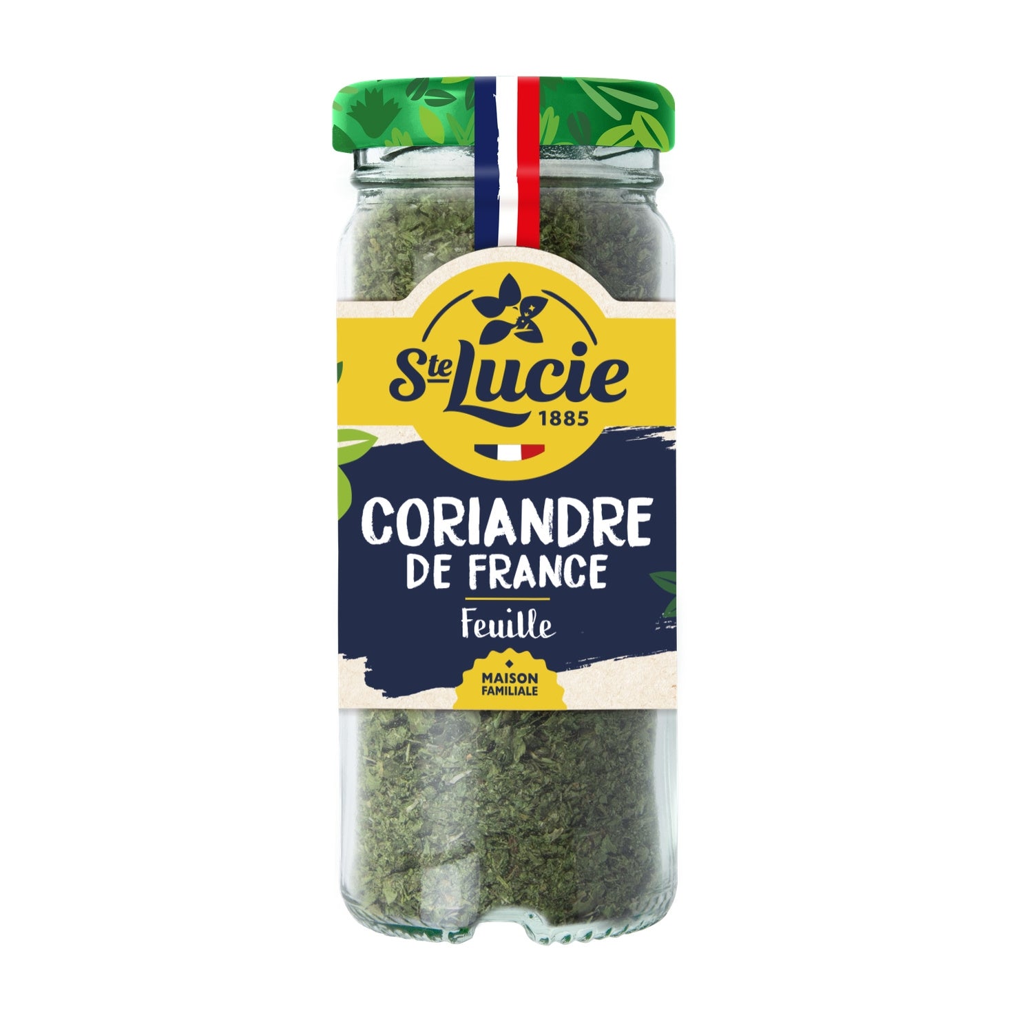 Coriandre de France SAINTE LUCIE 