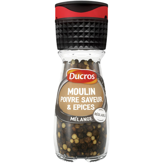 Poivre DUCROS le moulin de 30 g