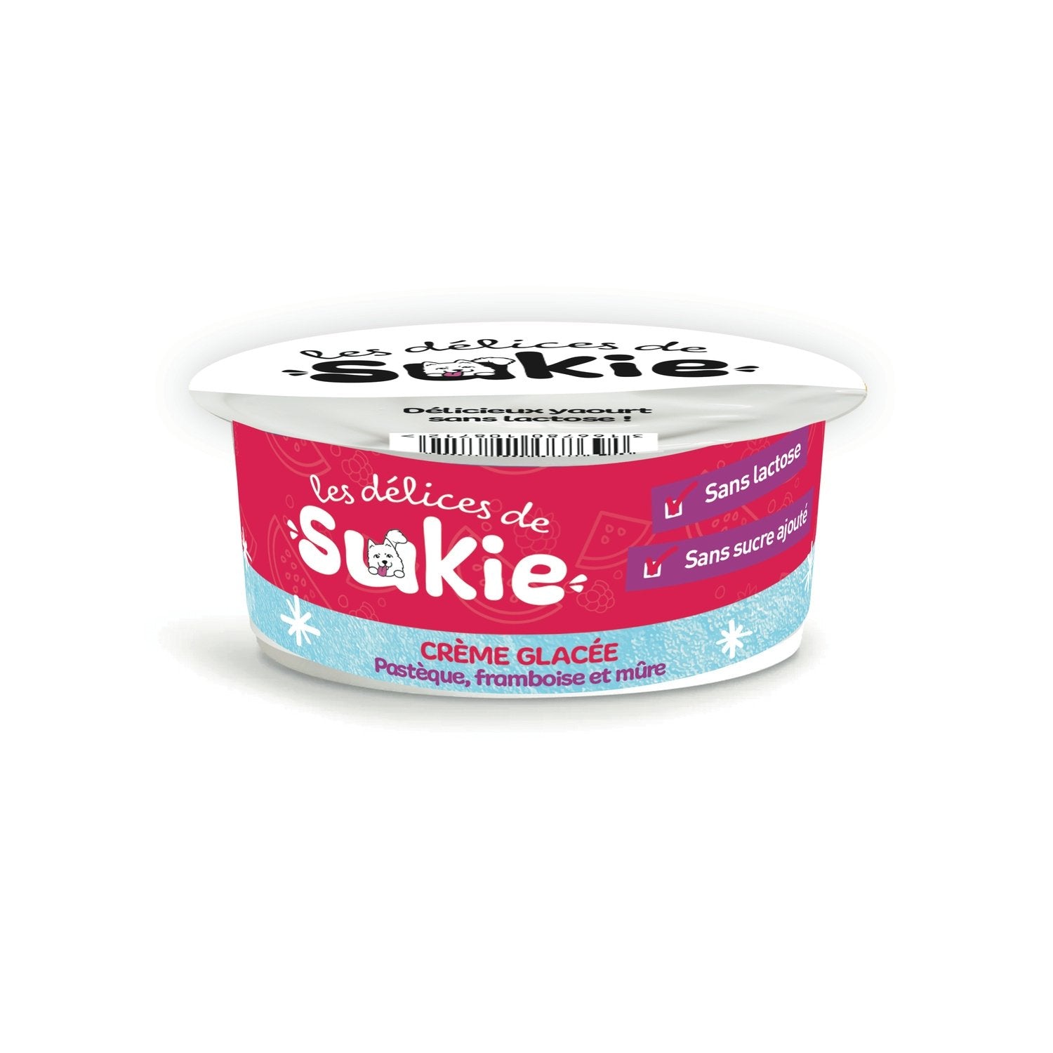 Glace pour Chien Pastèque, Framboise et Mûre RIGA le pot de 110g