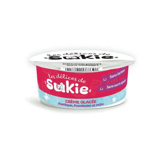 Glace pour Chien Pastèque, Framboise et Mûre RIGA le pot de 110g