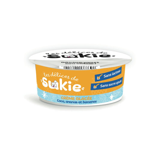 Glace pour Chien Coco, Ananas et Banane RIGA le pot de 110g