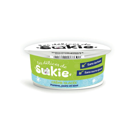 Glace pour Chien Pomme, Poire et Kiwi RIGA le pot de 110g