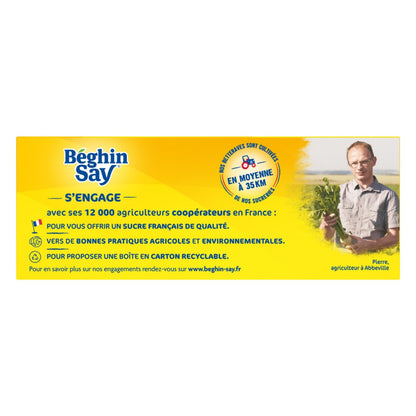 Sugar Small Pieces BEGHIN SAY
