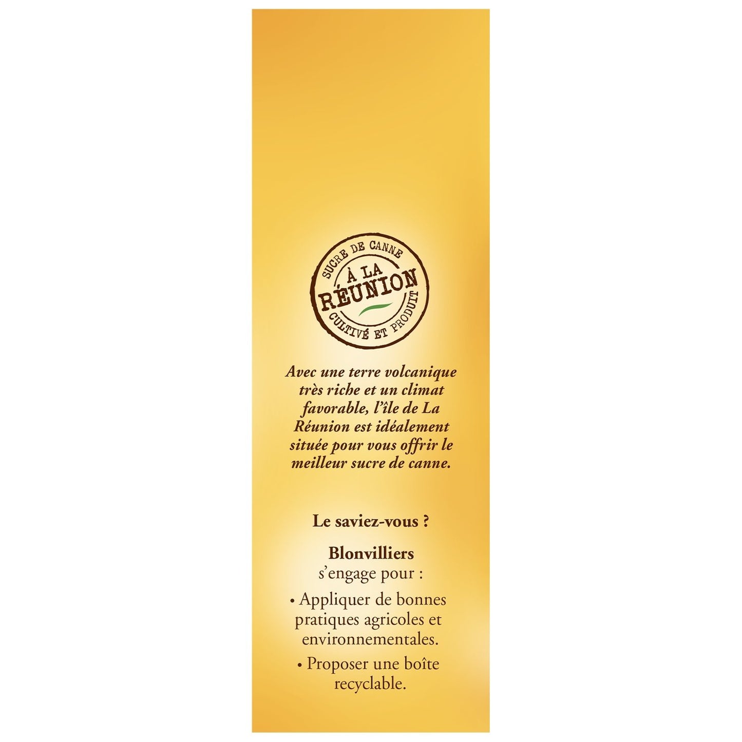 Sucre Blond en Poudre BEGHIN SAY