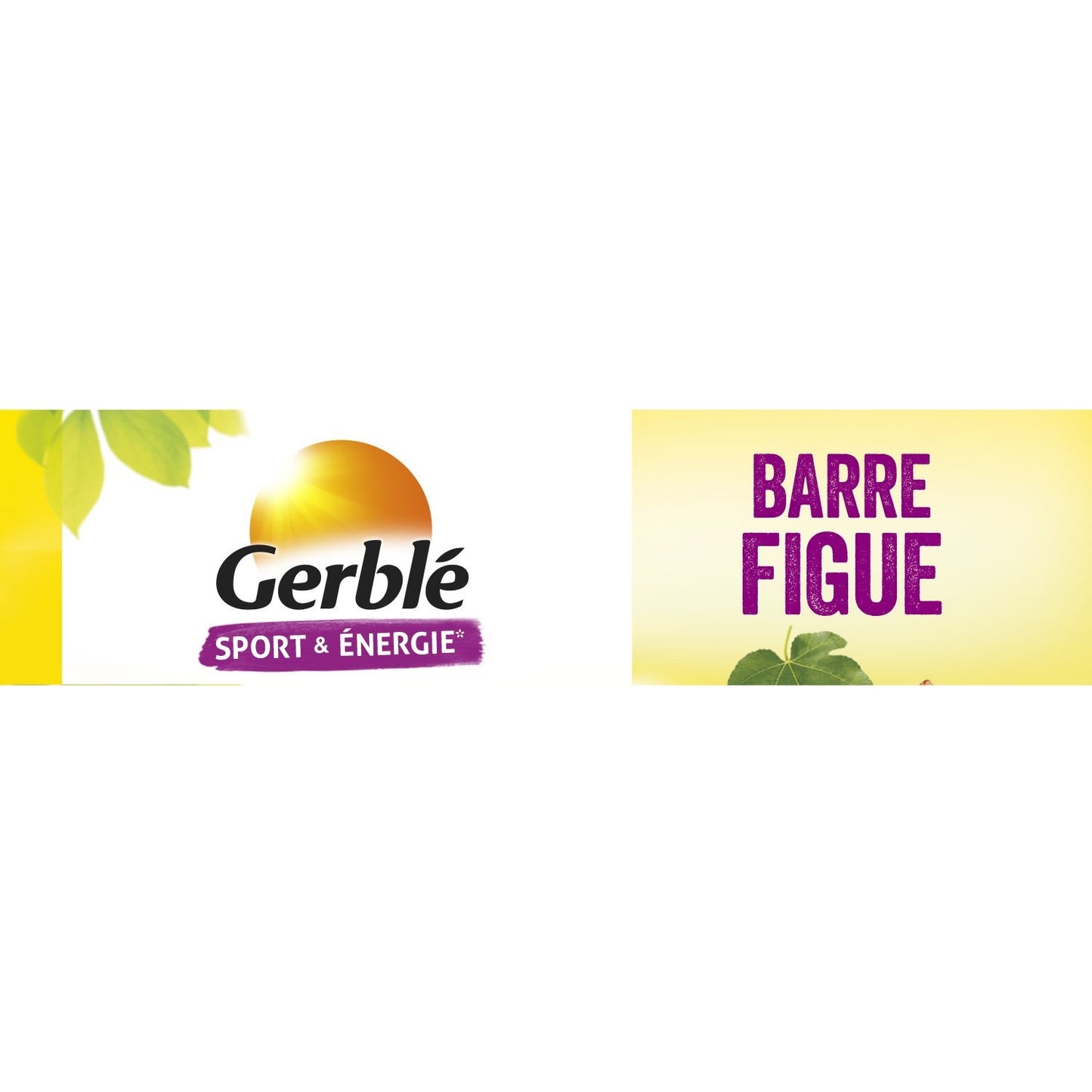 Barre Figue GERBLE