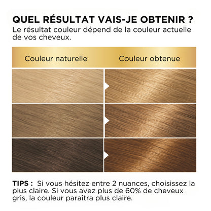 Coloration Permanente 2 Blond Naturel Couvre 100% Cheveux Blancs Belle Color GARNIER