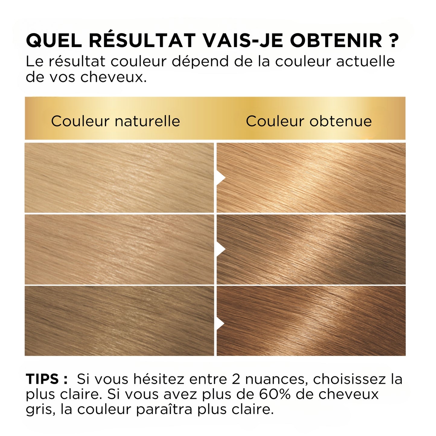 Coloration Permanente 6 Blond Très Clair Naturel Couvre 100% Cheveux Blancs Belle Color GARNIER
