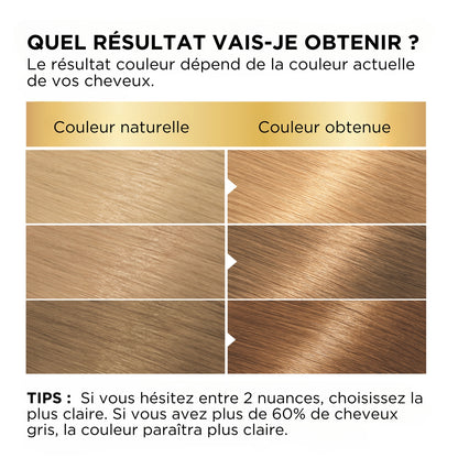 Coloration Permanente 6 Blond Très Clair Naturel Couvre 100% Cheveux Blancs Belle Color GARNIER