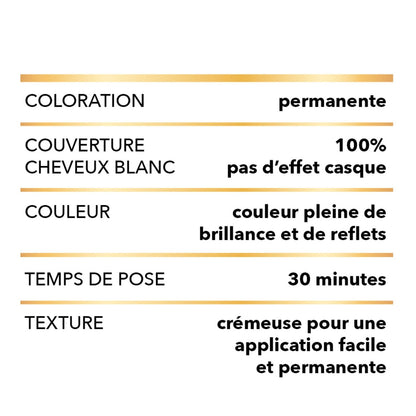 Coloration Permanente 80 Noir Naturel Couvre 100% Cheveux Blancs Belle Color GARNIER