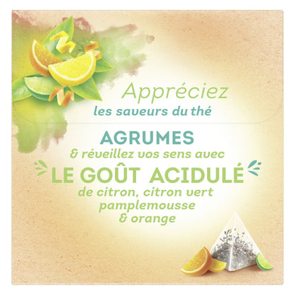 [ANTI-GASPILLAGE] Thé Noir Agrumes LIPTON - Date de durabilité minimale : 02/2026