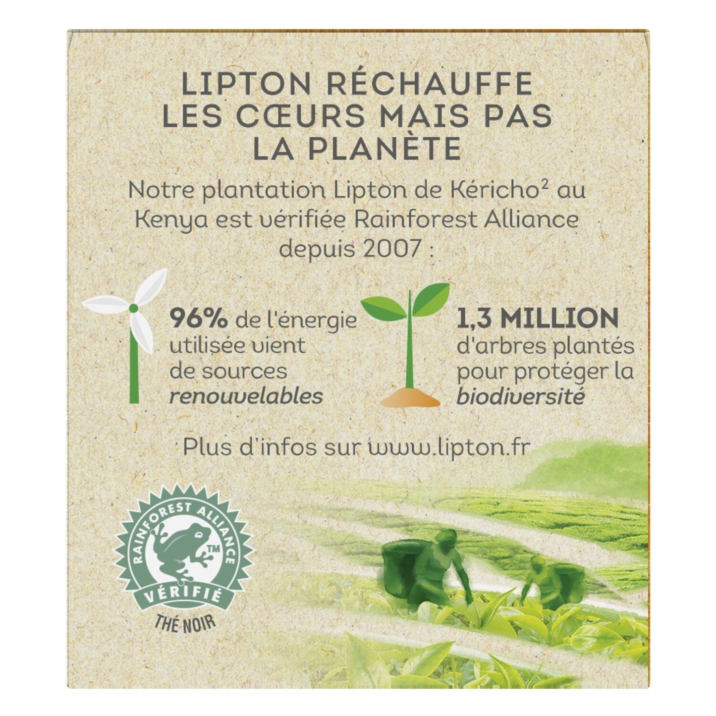 [ANTI-GASPILLAGE] Thé Noir Caramel LIPTON - Date de durabilité minimale : 08/2025