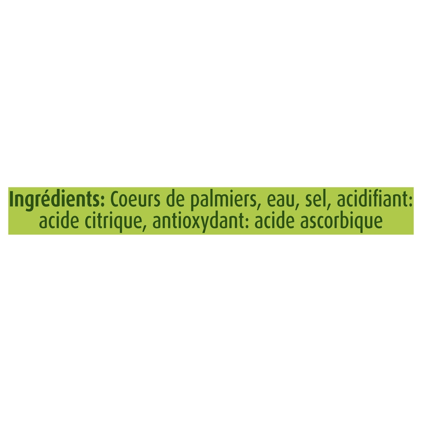 Cœur de Palmiers Coupés GEANT VERT