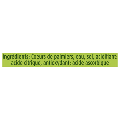 Cœur de Palmiers Coupés GEANT VERT