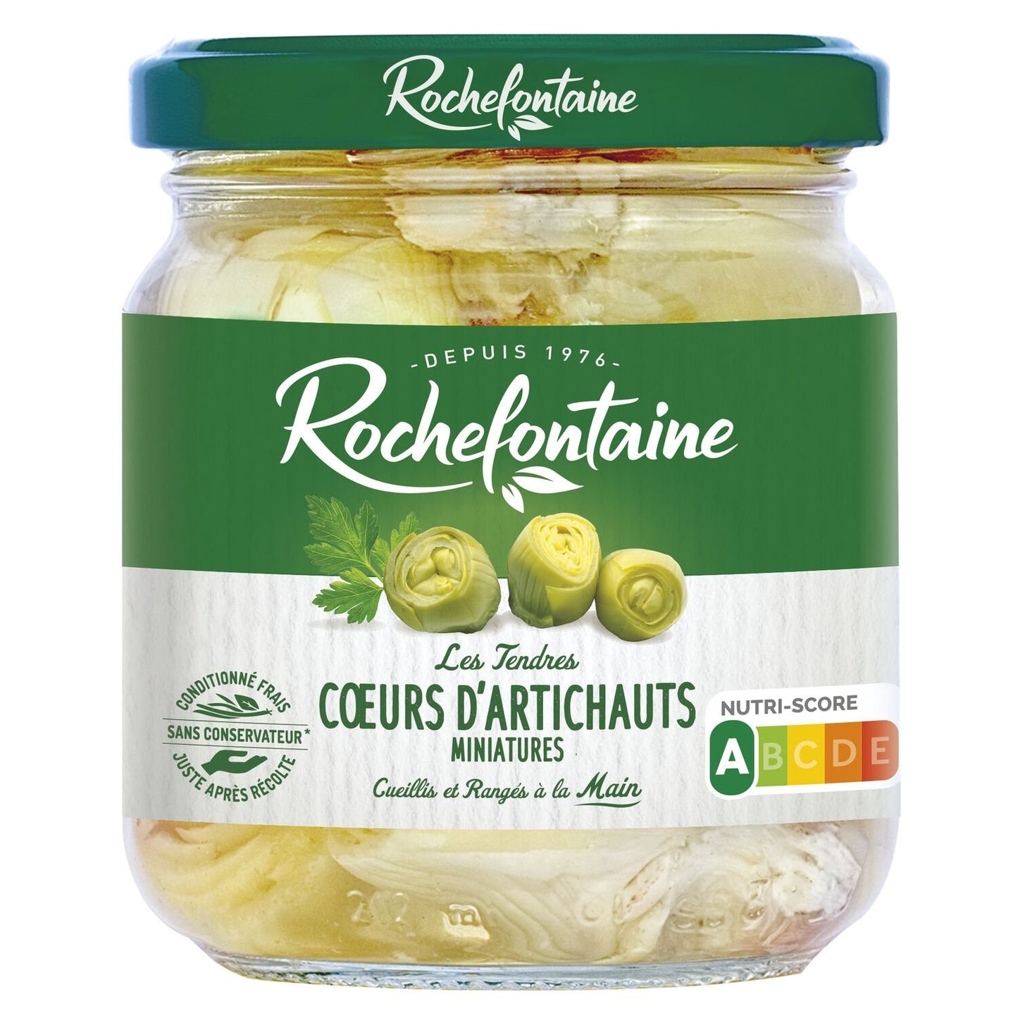 Mini Artichoke Hearts Size 10/20 ROCHEFONTAINE