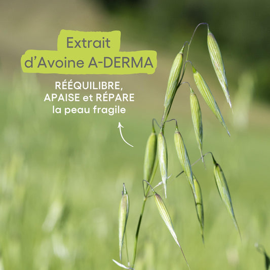 A-DERMA Rhealba Oat Moisturizing Lip Balm Soothing and Repairing Fragile Lips