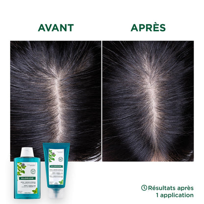KLORANE Organic Detox Aquatic Mint Shampoo for Normal to Oily Hair
