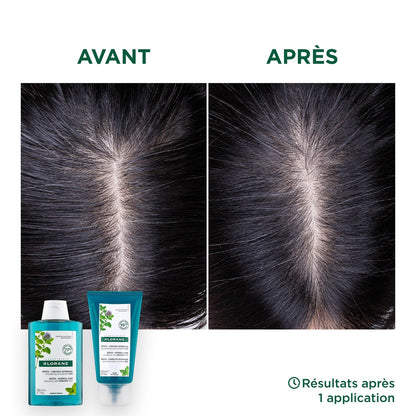 KLORANE Organic Aquatic Mint Detox Shampoo for Normal Hair