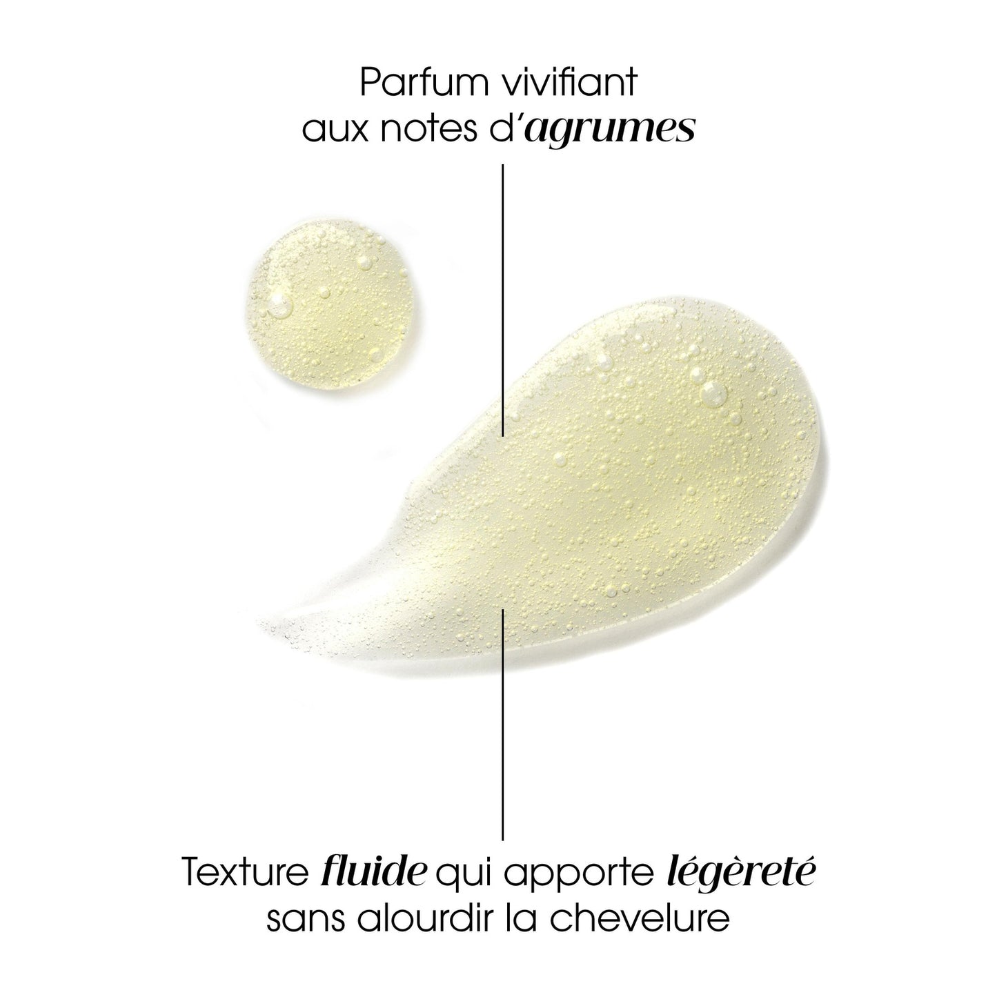 Shampoing Cheveux Normaux à Gras au Cédrat KLORANE 