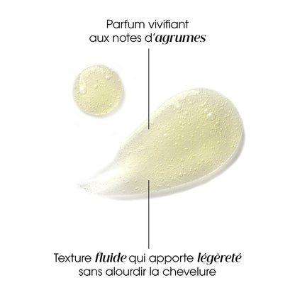 Shampoing Cheveux Normaux à Gras au Cédrat KLORANE 