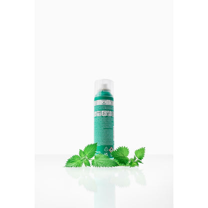 KLORANE Tinted Purifying Dry Shampoo with Nettle and Vitamin E for Oily Hair