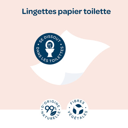 Lingettes bébé Papier Toilette Hypoallergéniques Peaux Sensibles BIOLANE 