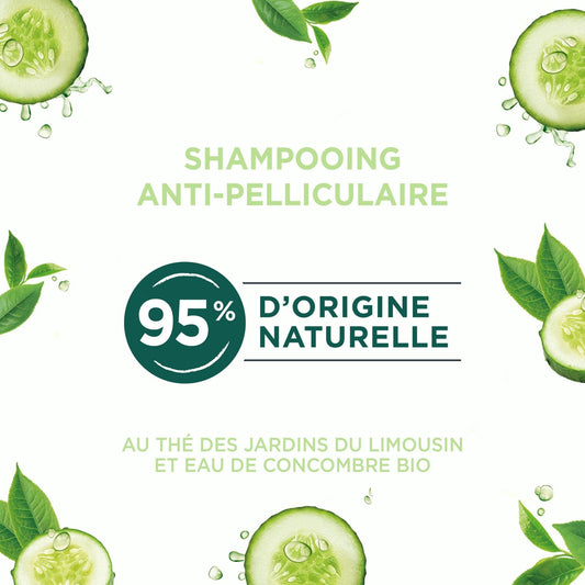 Anti-Dandruff Shampoo for Normal Hair with Limousin Garden Tea and Organic Cucumber Water NATURE MOI