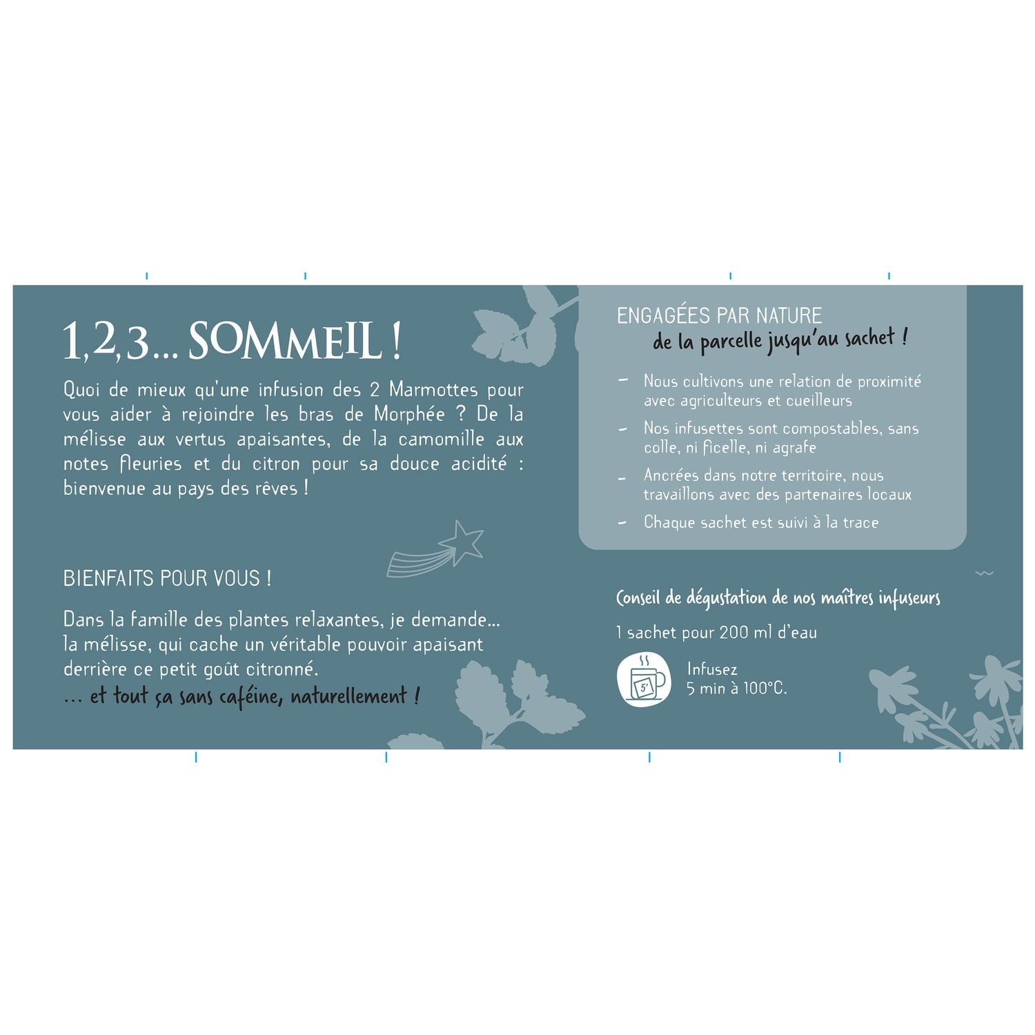 Infusion Sommeil LES 2 MARMOTTES 