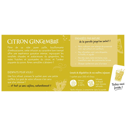 Infusion Citron Gingembre LES 2 MARMOTTES 