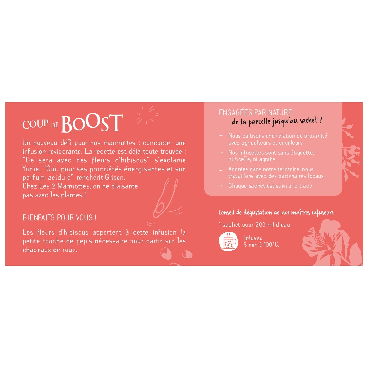Infusion coup de boost LES 2 MARMOTTES 