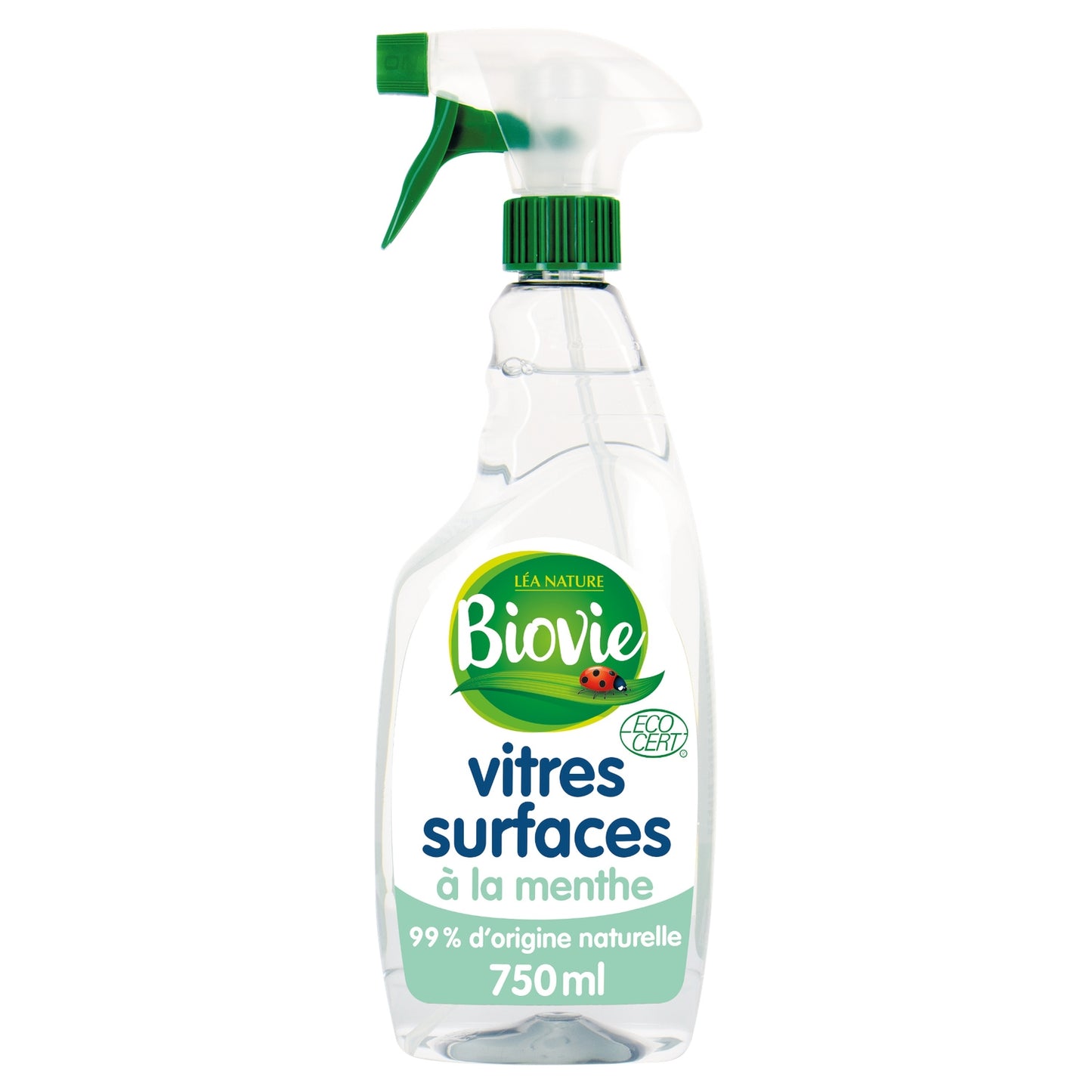 Nettoyant Vitre Et Surface Menthe Ecocert Bio BIOVIE 