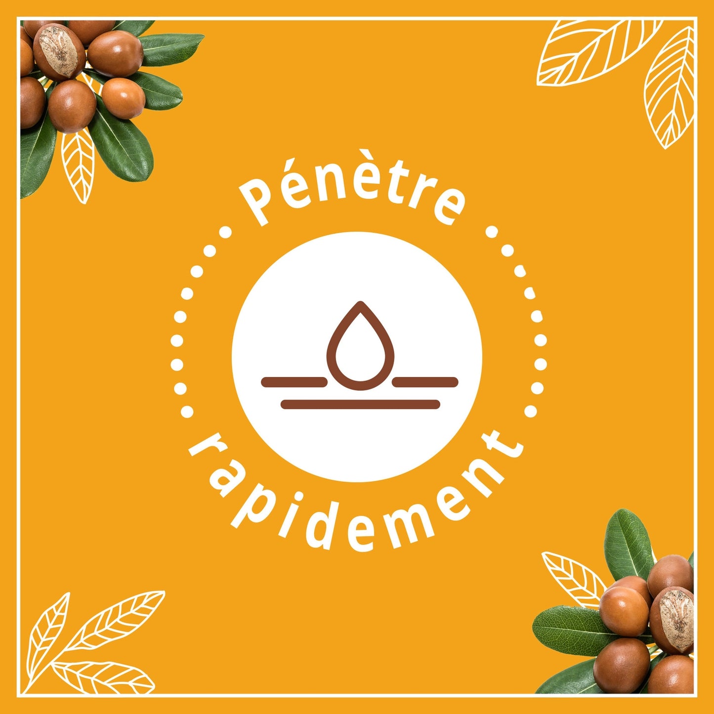 Moisturizing Milk Nutrition Shea, Argan and Ama LE PETIT MARSEILLAIS