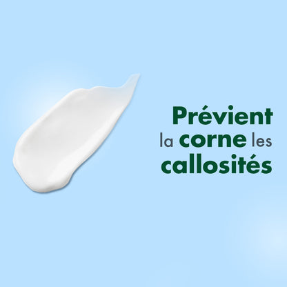 Crème Pieds Secs à Rugueux Anti-Fendillements Apaise Nourrit Prévient pour Adulte CICABIAFINE