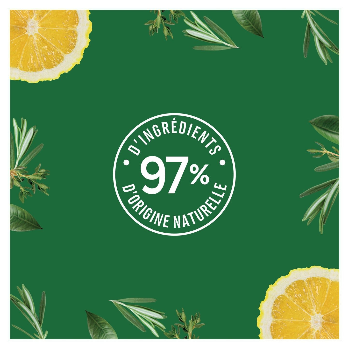 LE PETIT MARSEILLAIS Anti-Dandruff Shampoo with Citron