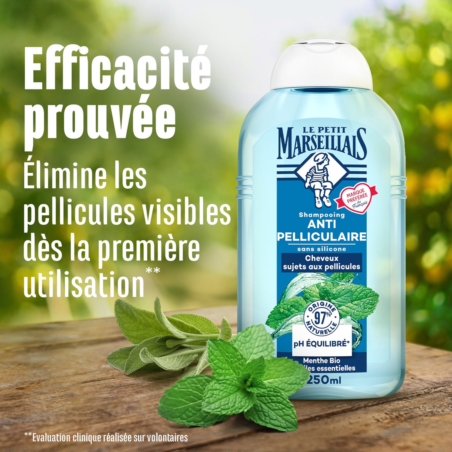 Shampoing Antipelliculaire Cheveux Sujets aux Pellicules Menthe Bio et Huiles Essentielles LE PETIT MARSEILLAIS